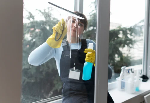 Nettoyage de vitres intérieures et extérieures à Saint-Martin-la-Pallu